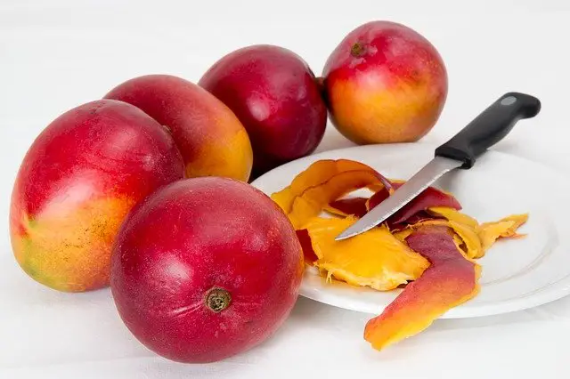 You are currently viewing आम खानेके के 11 आश्चर्यजनक लाभ जो आप शायद नहीं जानते होंगे? (11 Unknown Benefits Of Mango)