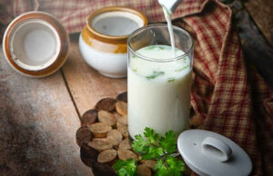 Read more about the article 11 Amazing Benefits of Curd in Hindi| दही खाने के 11 आश्चर्यजनक फायदे जो आप शायद नहीं जानते होंगे |